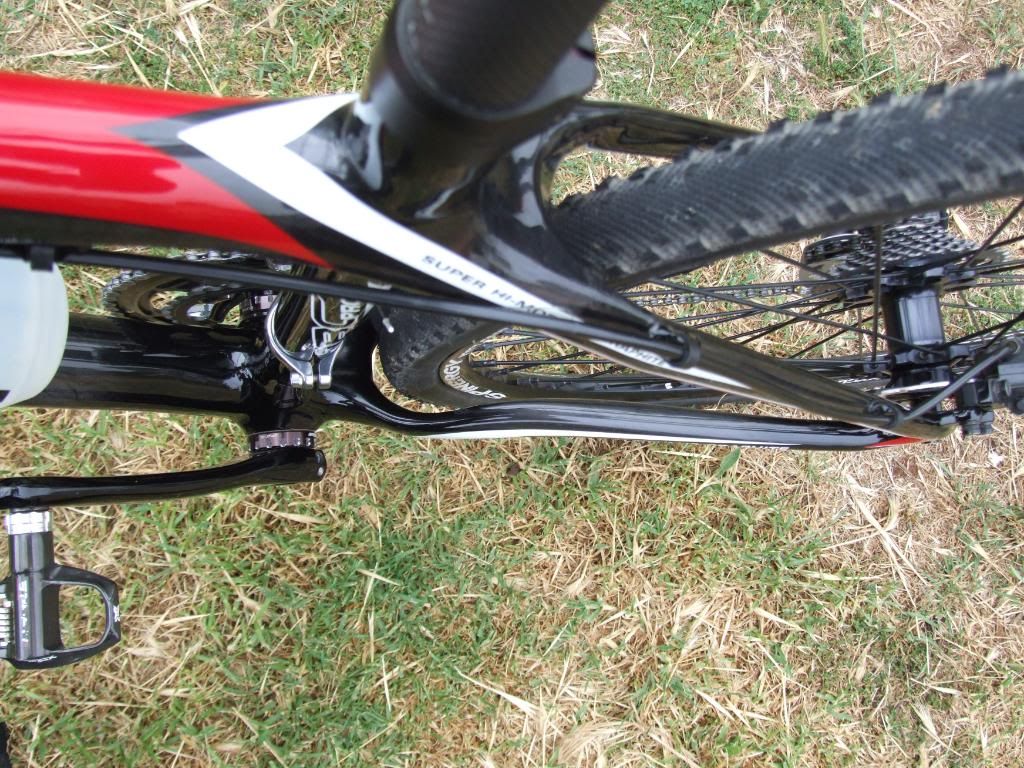 framed bike 29er